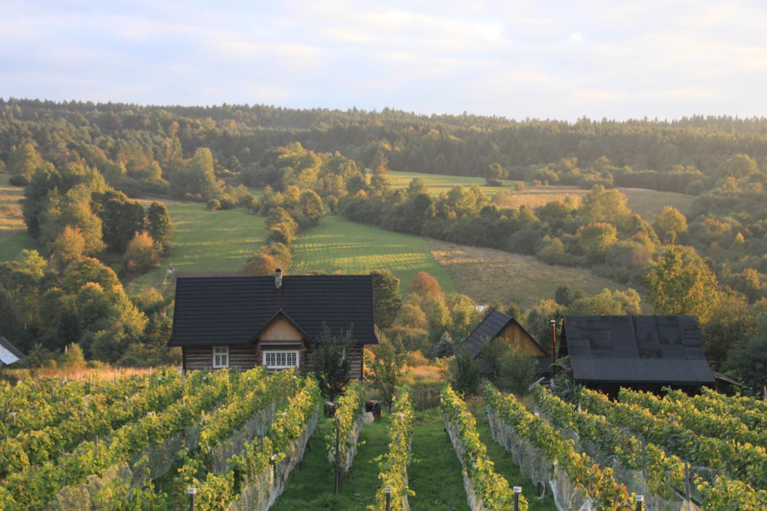 Winery Hotel - Utopia Dom przy winnicy1