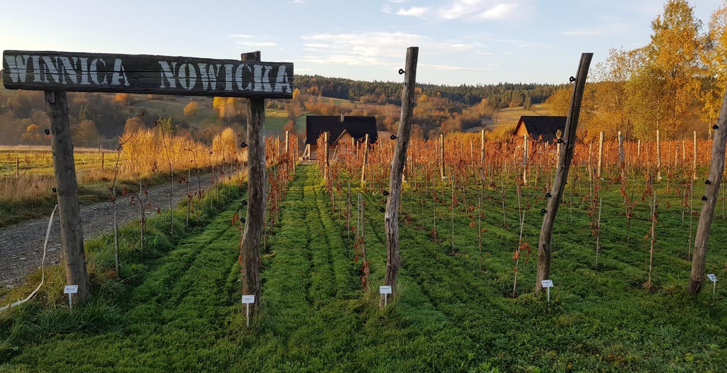 Winery Hotel - Utopia Dom przy winnicy3