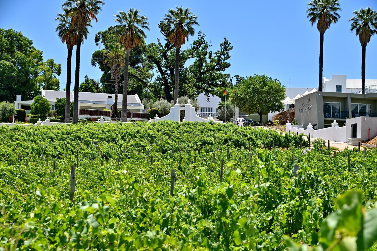 Val Du Charron Wine & Leisure Estate photo 2