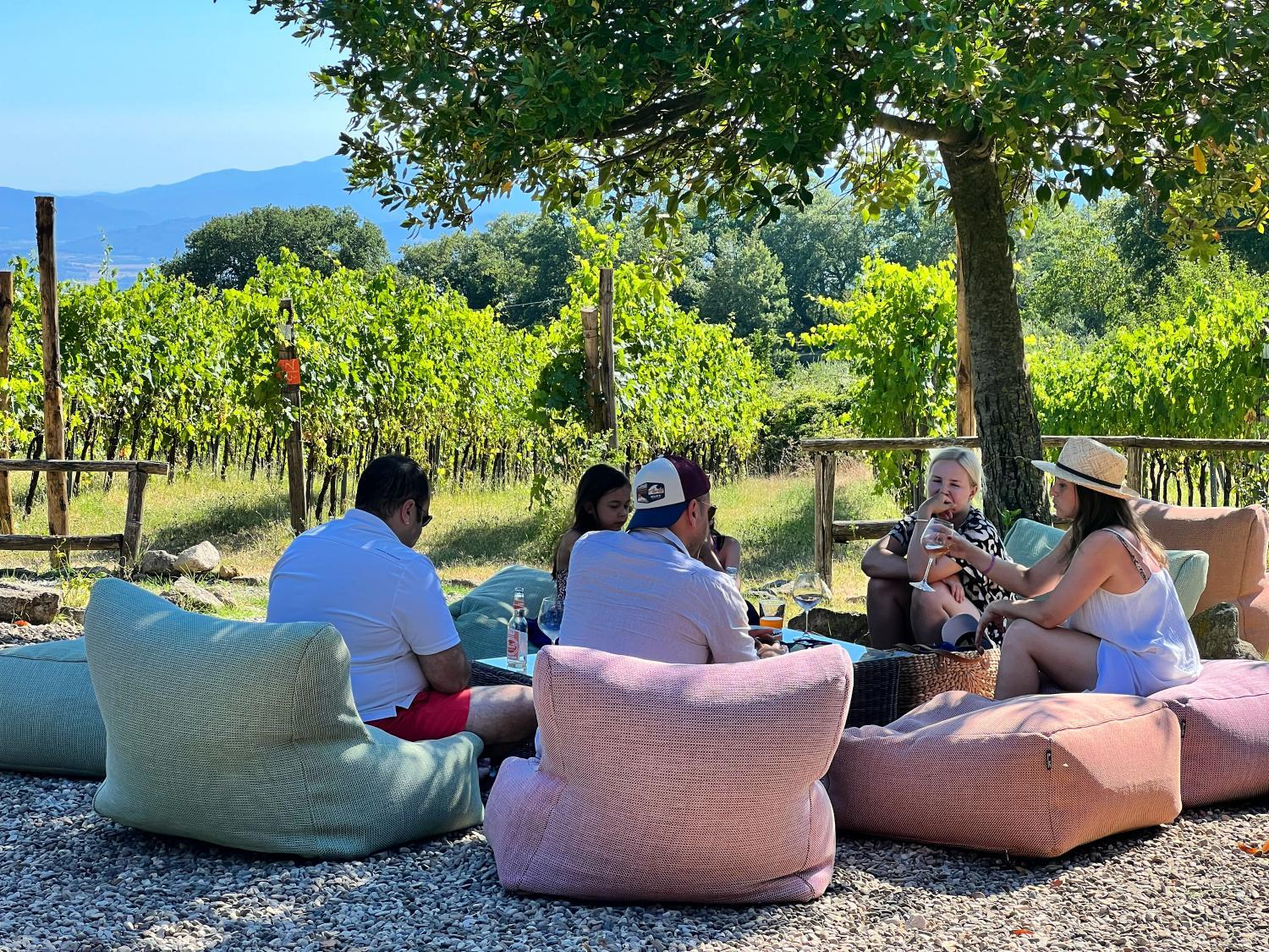 VALDONICA WINERY Fine Dine & Wine Hotel photo 4