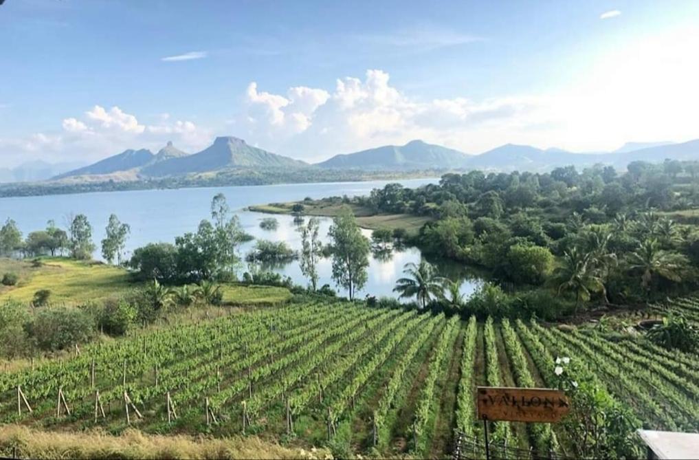 Hotel with winery - Vallonne Vineyards