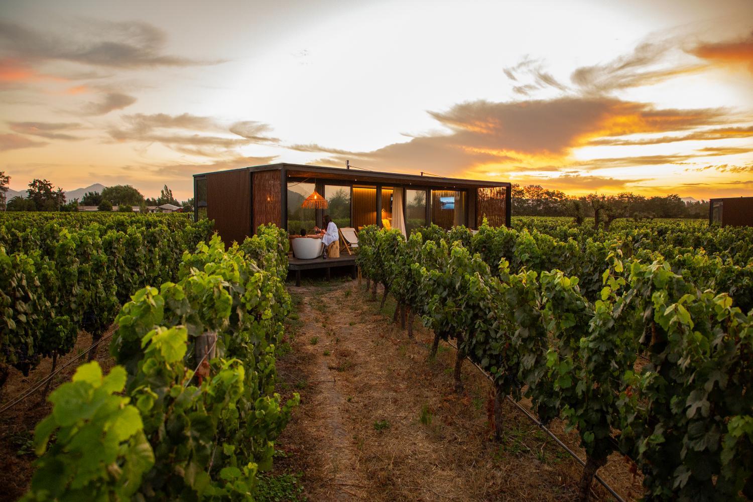 Hotel with winery - Vibo Wine Lodge At Viu Manent