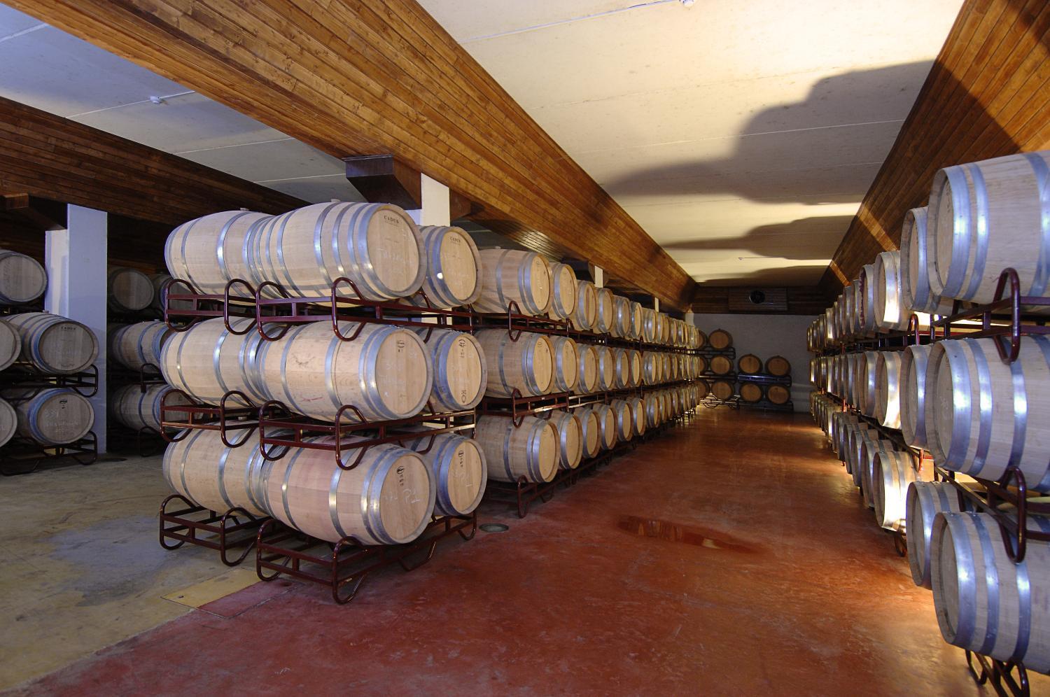 Winery Hotel - Vila Gale Alentejo Vineyard - Clube de Campo2