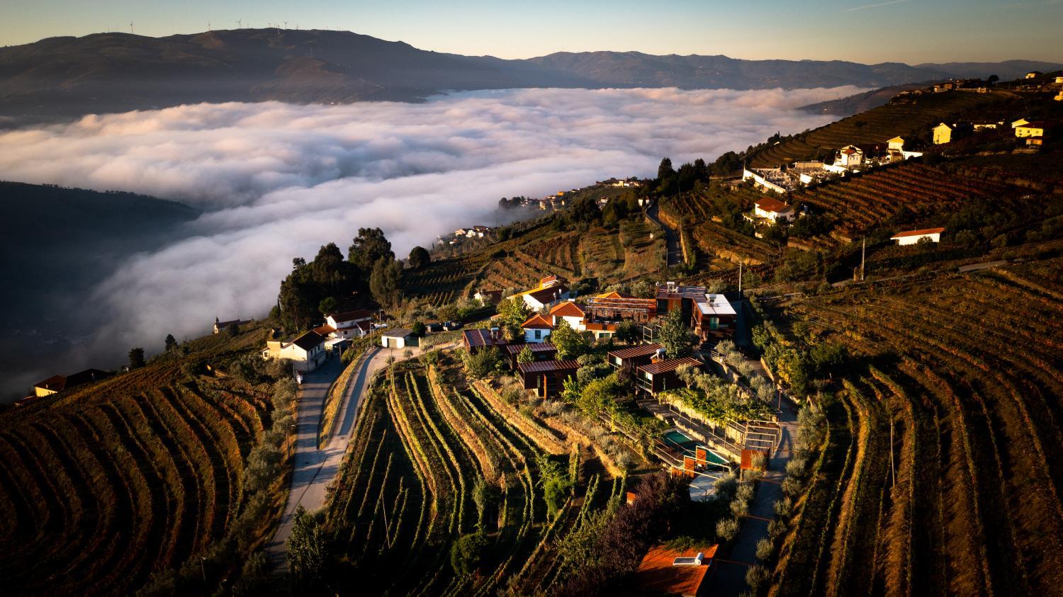 Hotel with winery - Vila Marim Country Houses
