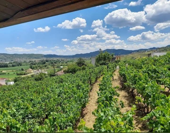 Hotel with winery - Vila Shehi Guesthouse and Winery