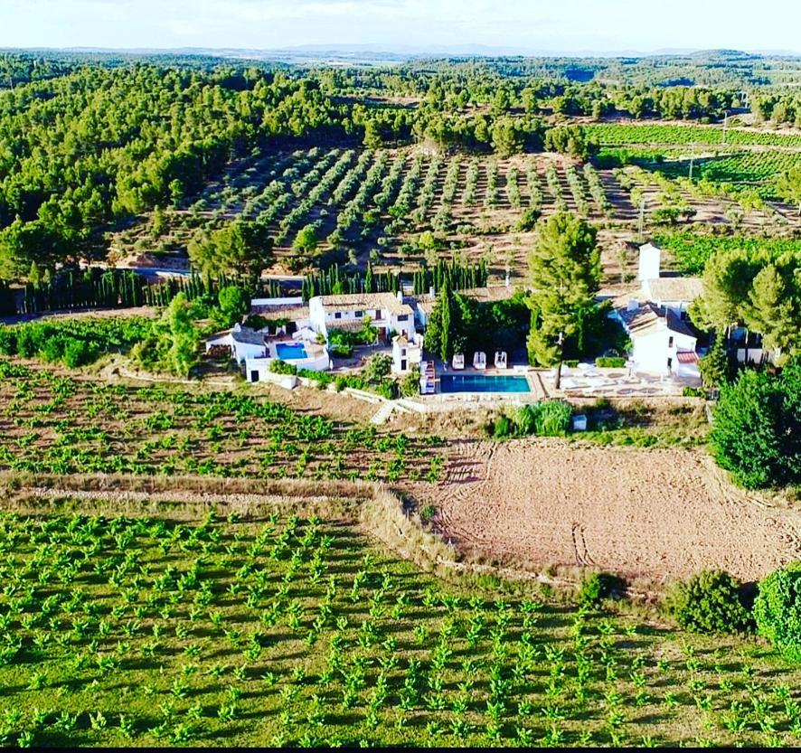 Winery Hotel - VILASIRA (Rooms & Wines)1