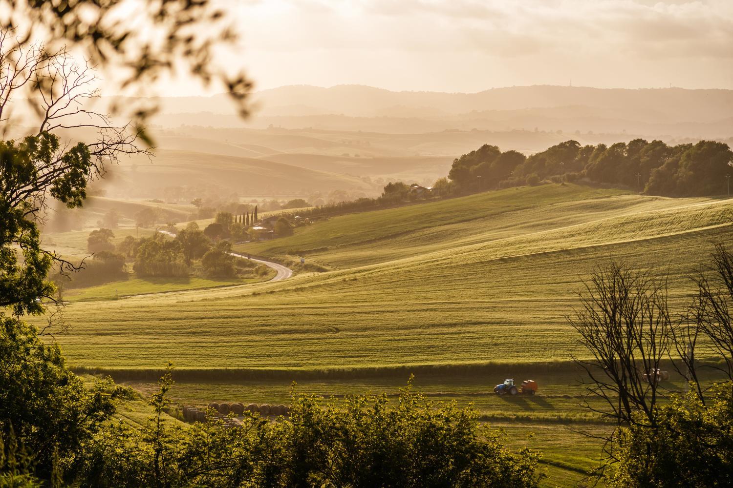 Villa Acquaviva Wine Resort photo 3