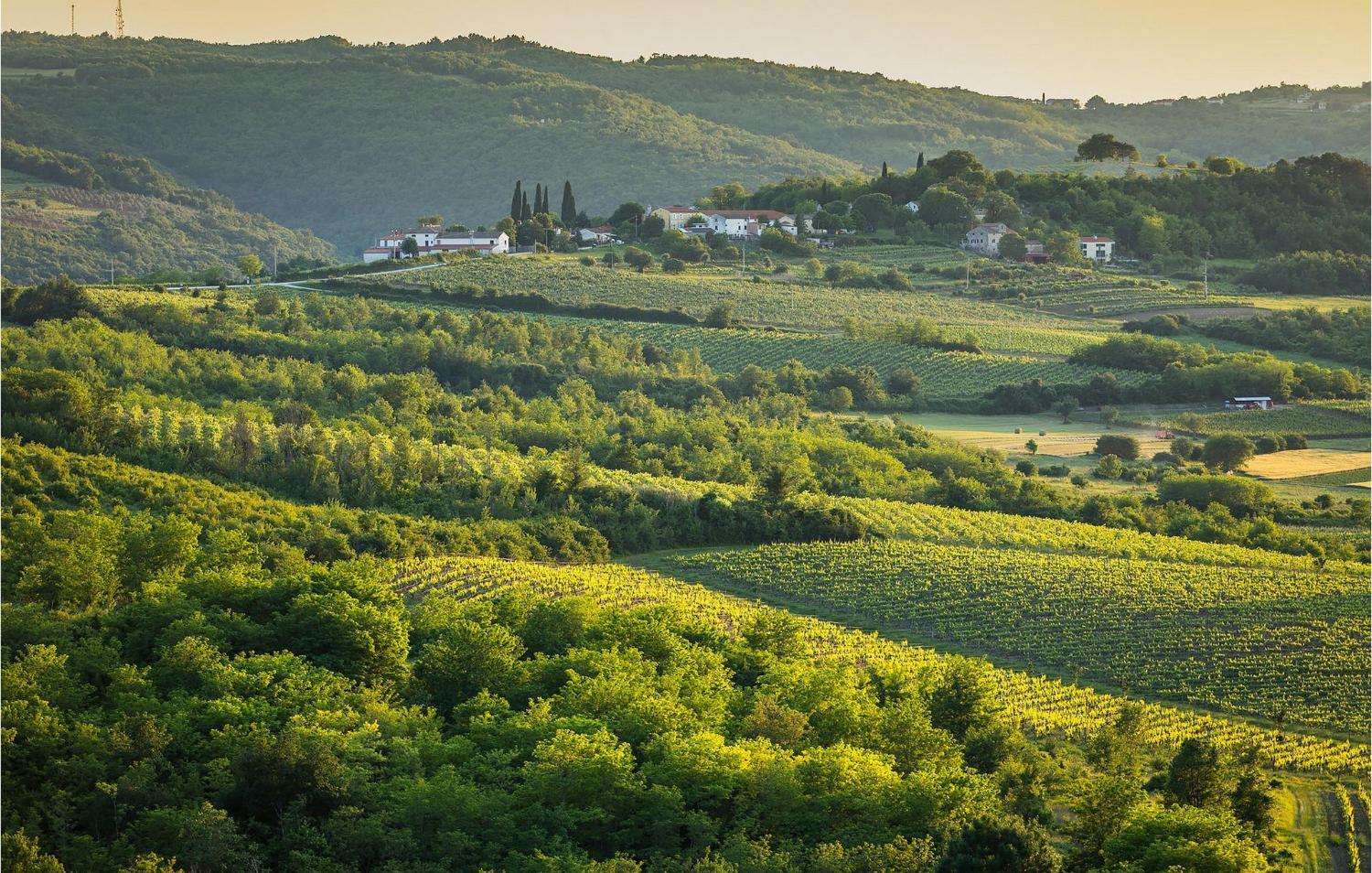 Villa Dolce Vita photo 3