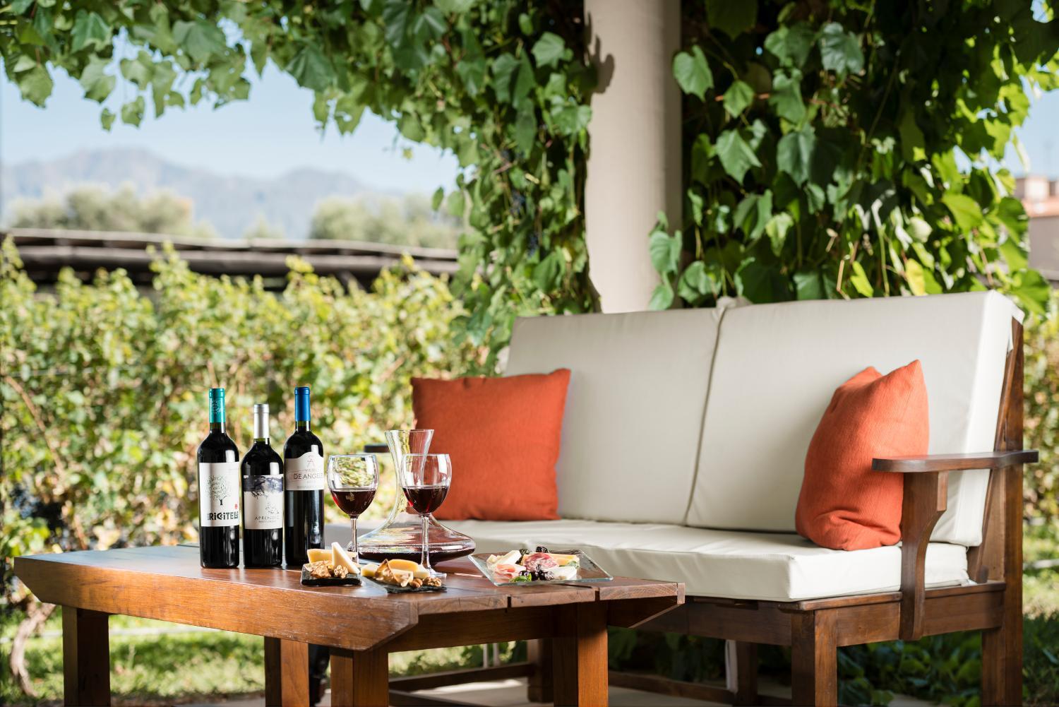 Winery Hotel - Villa Mansa4