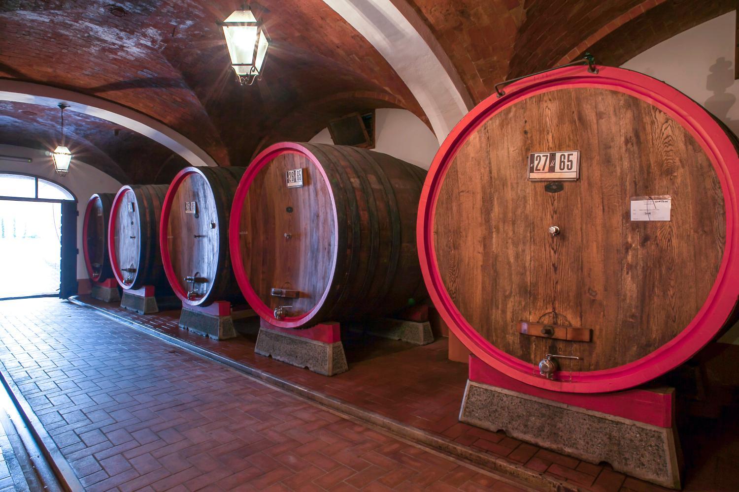 Villa Svetoni Wine Resort photo 3