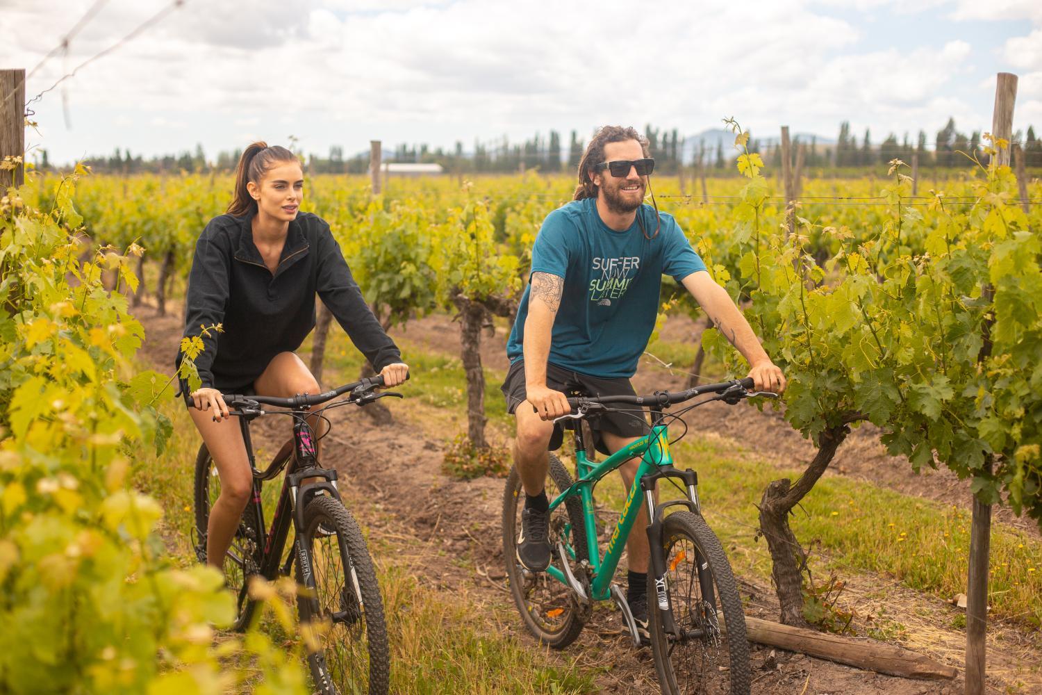 Winery Hotel - Viña La Playa Hotel & Winery4