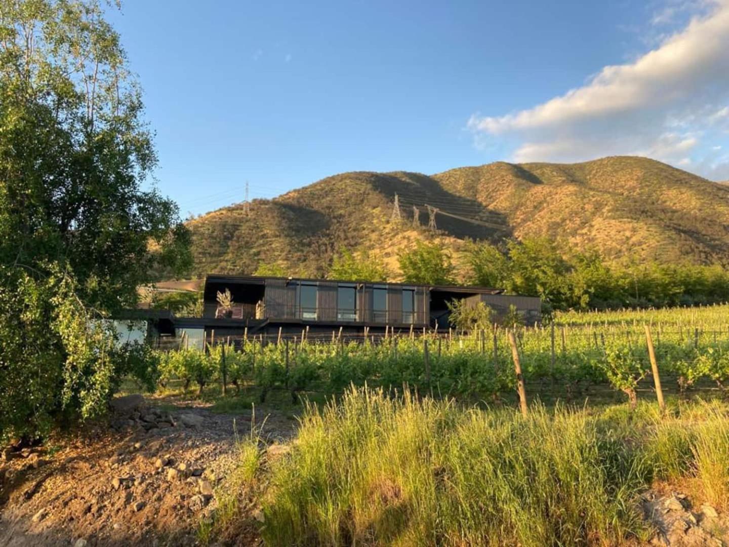 Hotel with winery - Viña LOF - Maipo Valley Bed & Breakfast in Winery