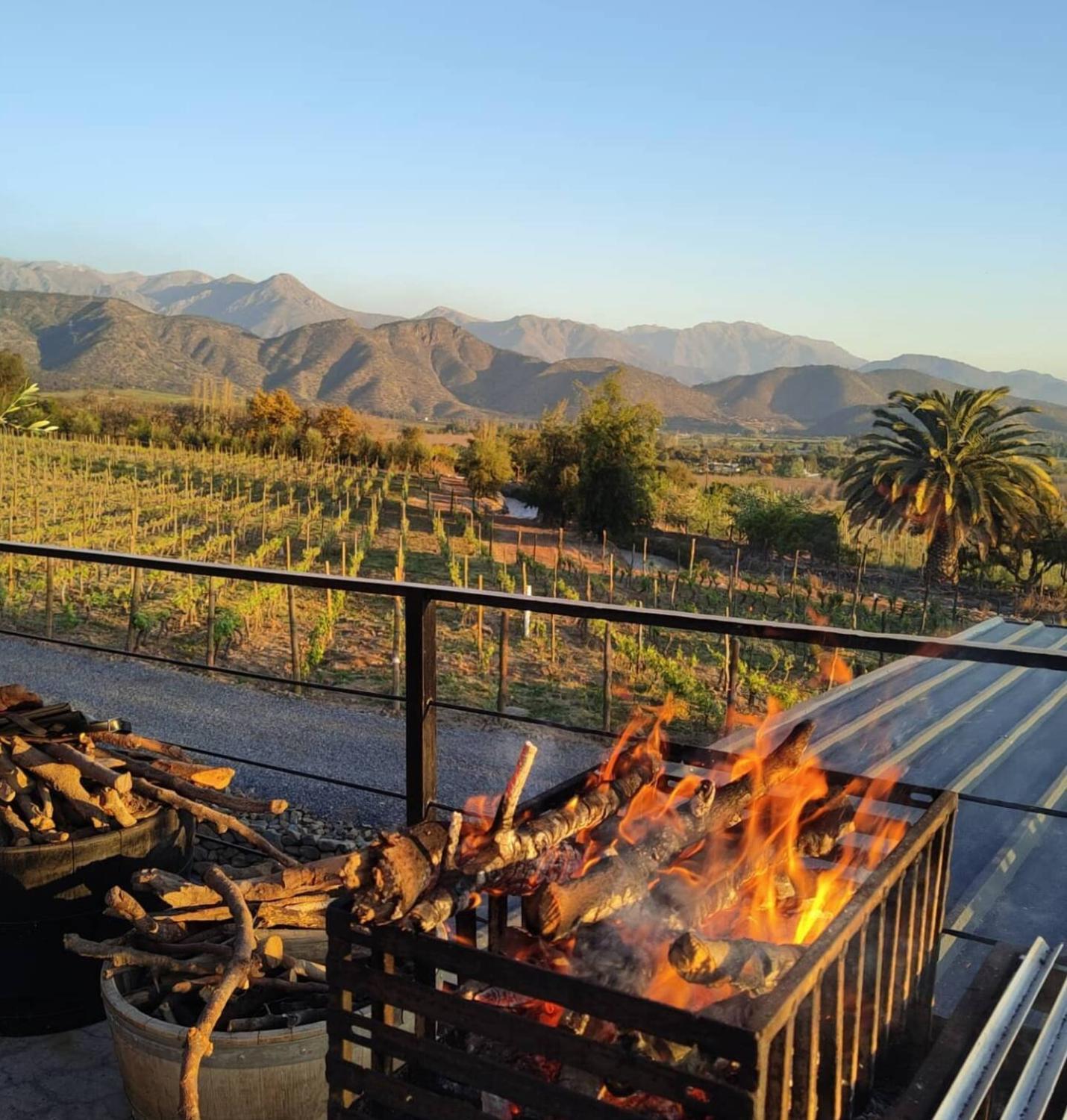 Winery Hotel - Viña LOF - Maipo Valley Bed & Breakfast in Winery3