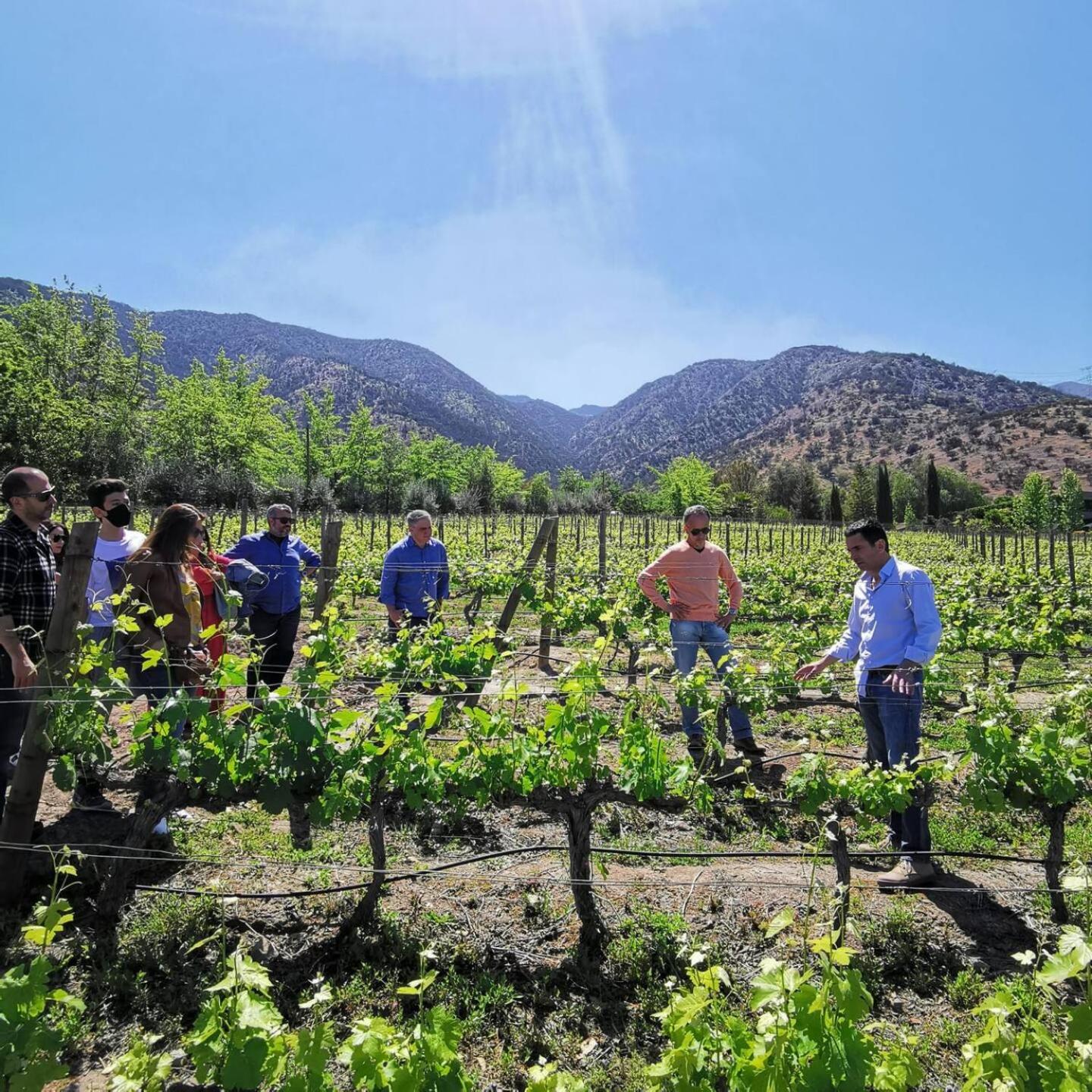 Winery Hotel - Viña LOF - Maipo Valley Bed & Breakfast in Winery4