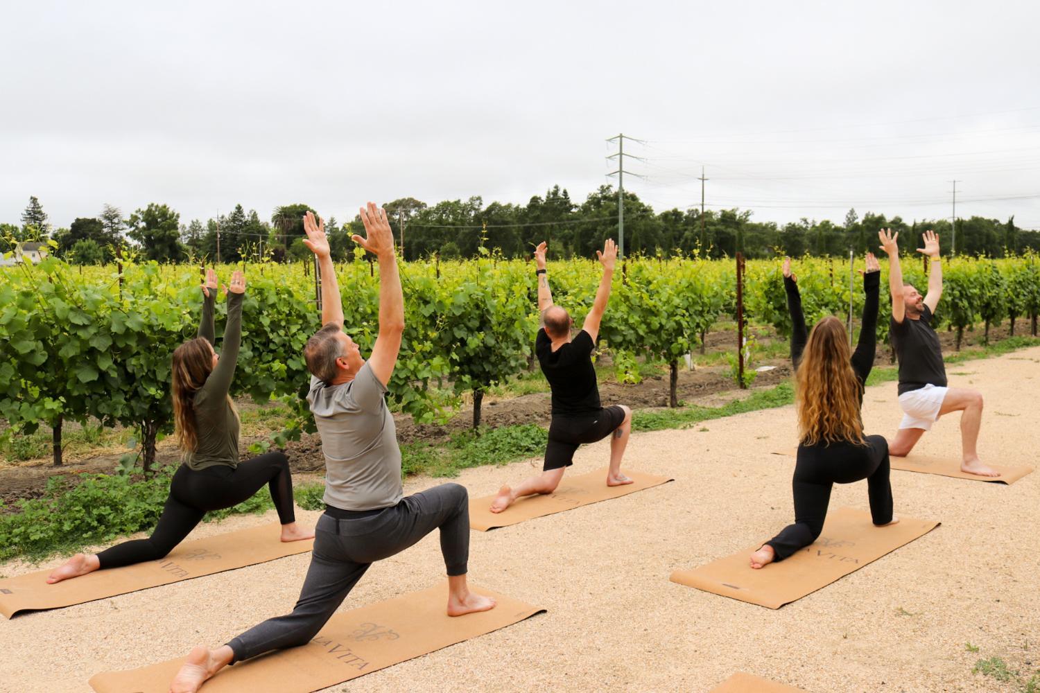 Vinarosa Resort & Spa photo 2