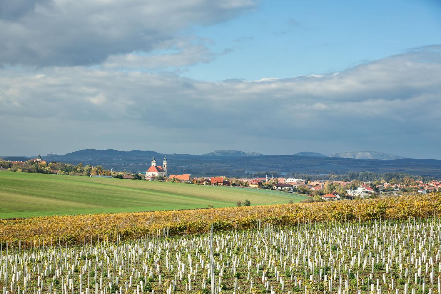 Winery Hotel - Vinařství Obelisk3