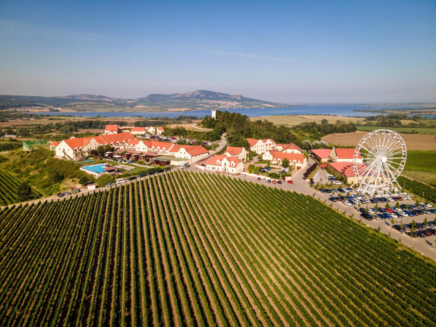 Hotel with winery - Vinařství U Kapličky