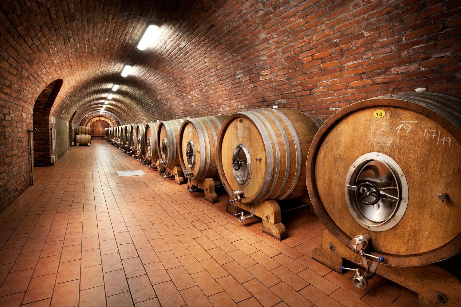 Winery Hotel - Vinařství U Kapličky4