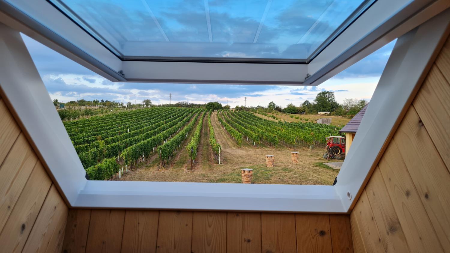 Hotel with winery - Vinárstvo u Kohúta