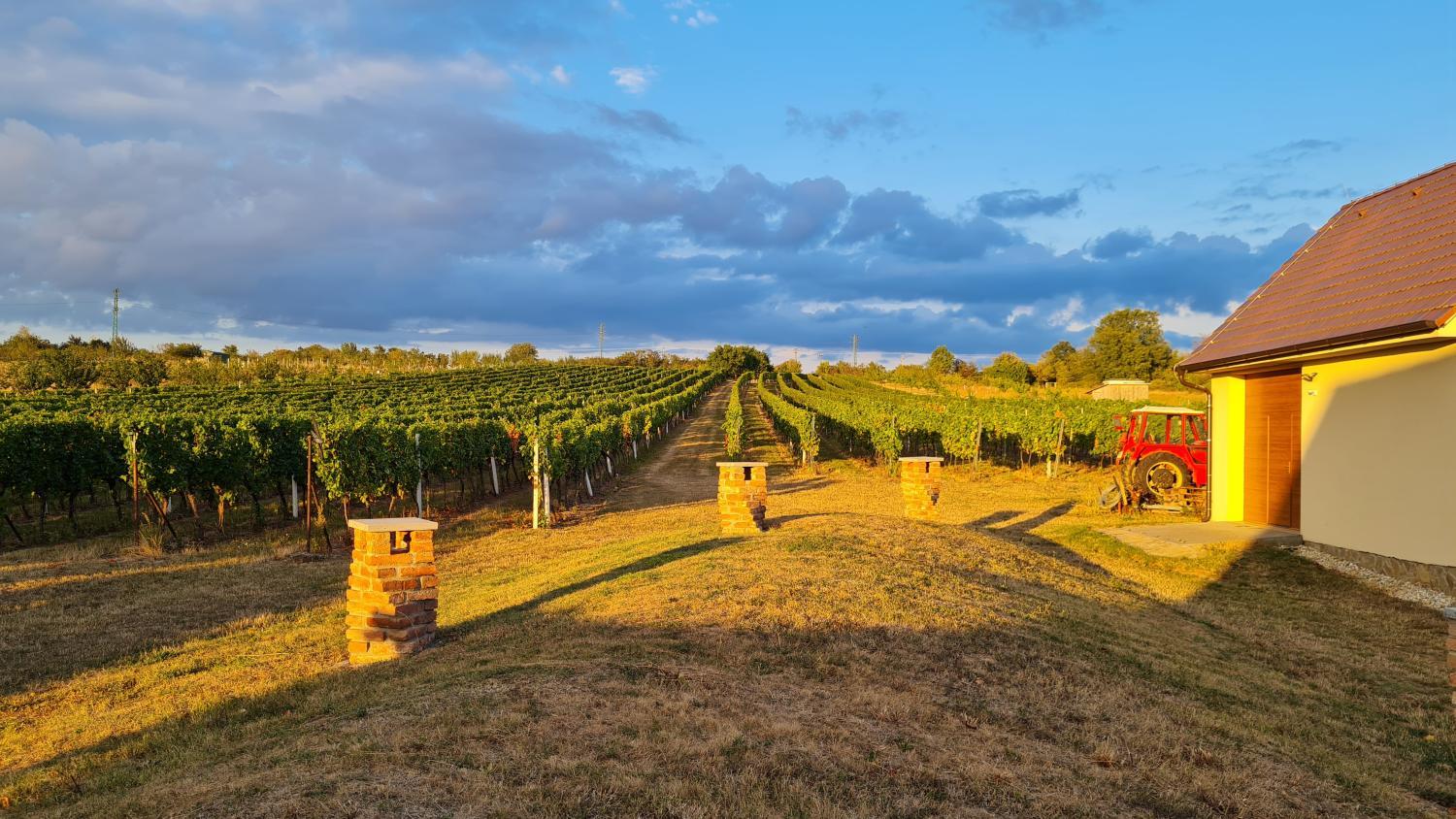 Winery Hotel - Vinárstvo u Kohúta2