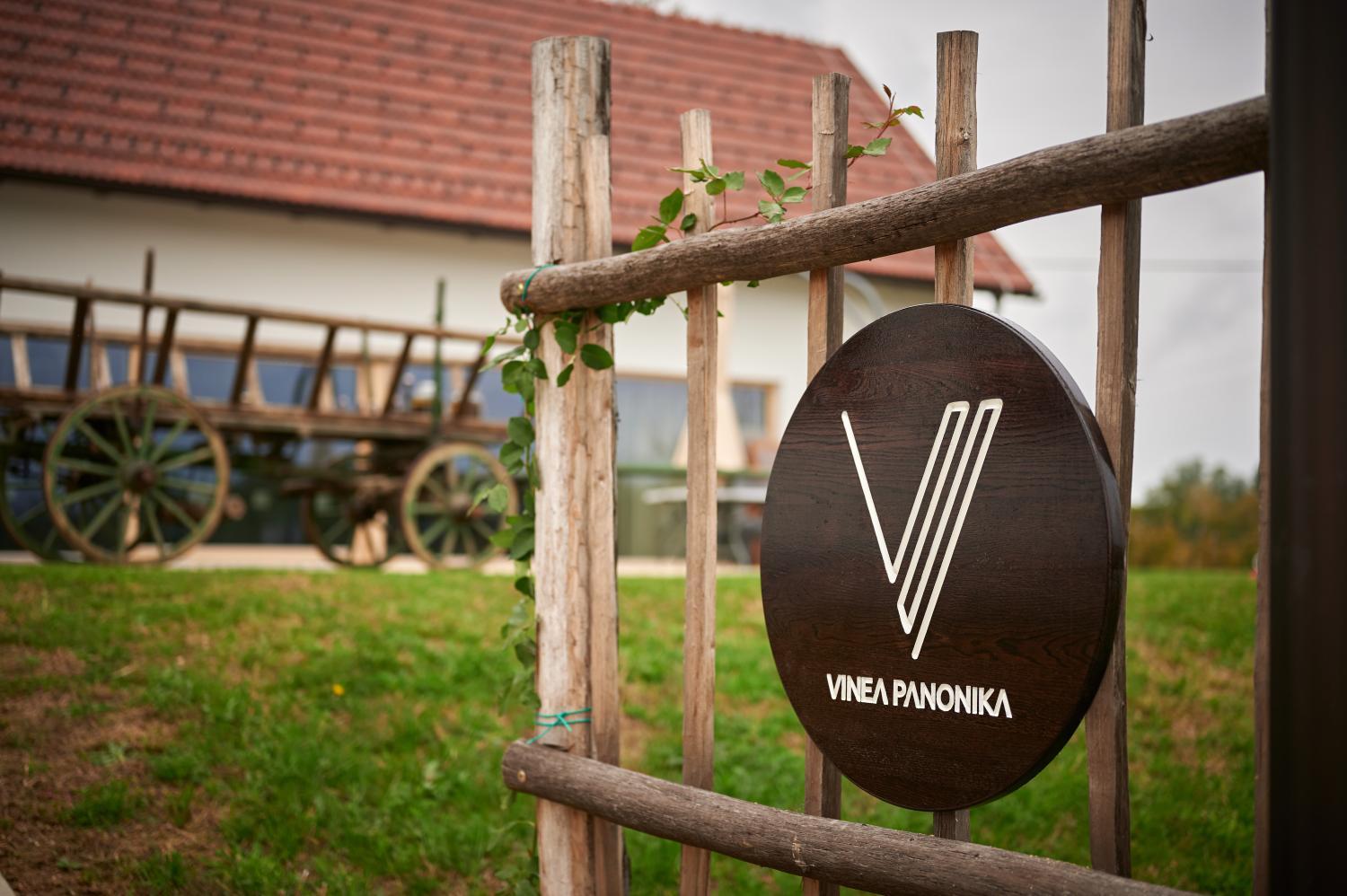 VINEA PANONIKA wine & mind retreat photo 2