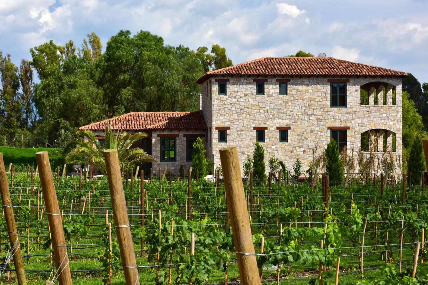 Hotel with winery - Viñedos San Lucas