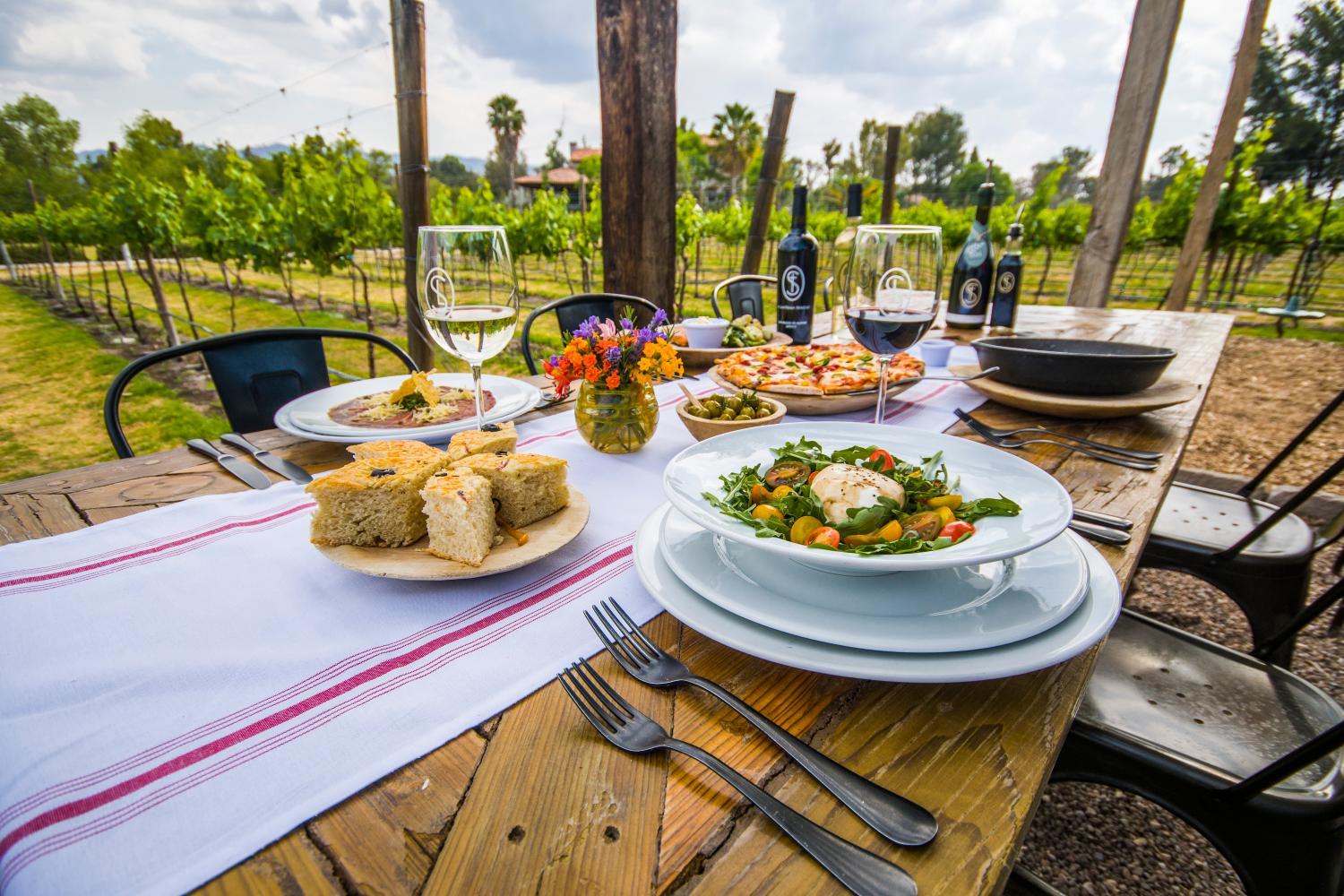 Winery Hotel - Viñedos San Lucas4