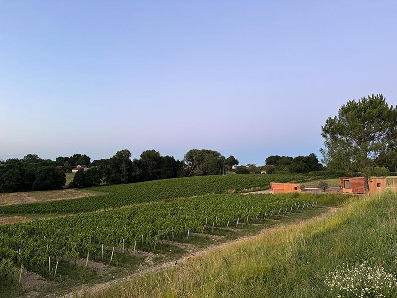 Vineyard Cabins at Château Puynard photo 4