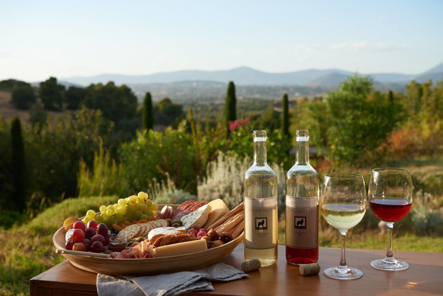 Winery Hotel - Vineyard Estate4