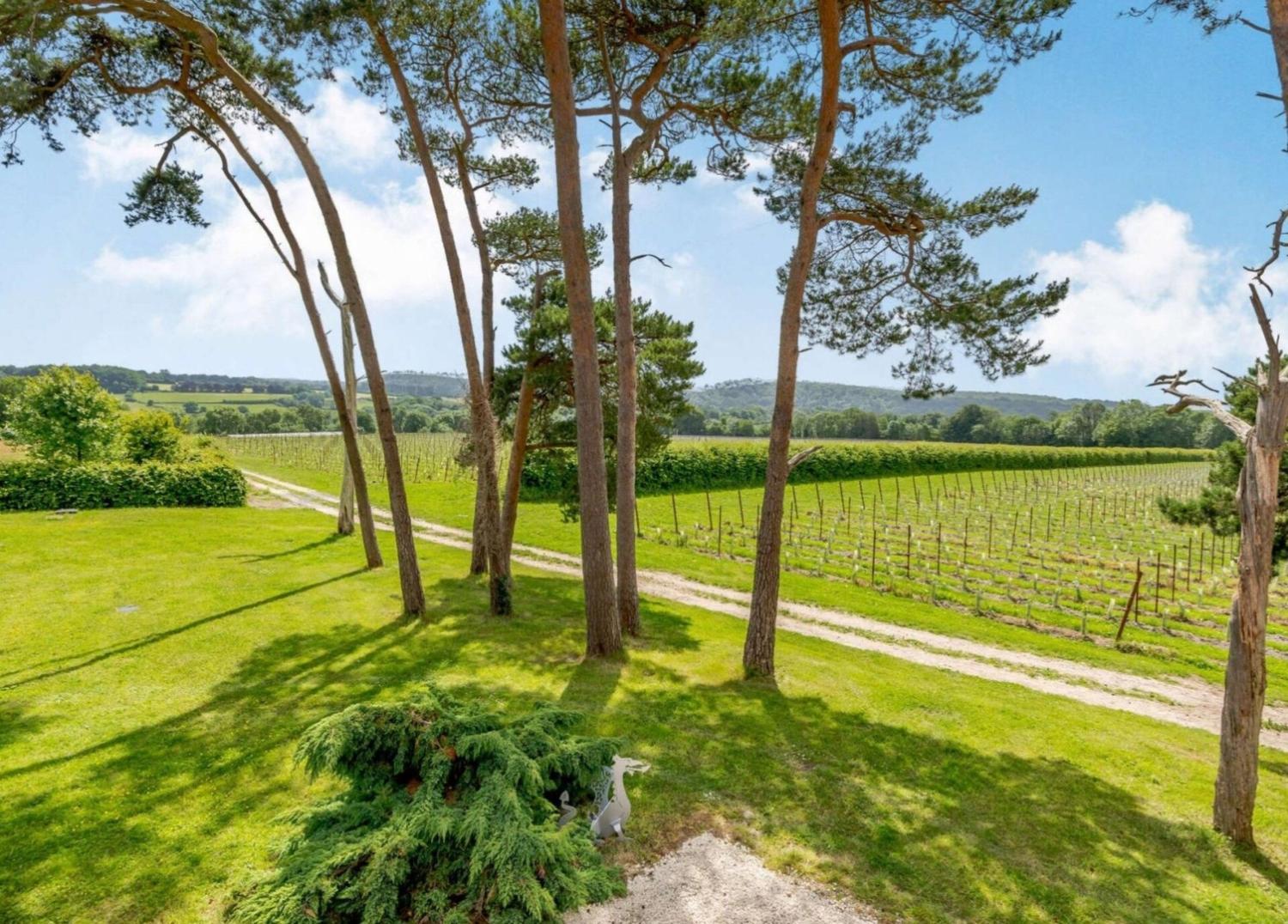 Vineyard View - Otium Wine Estate photo 3