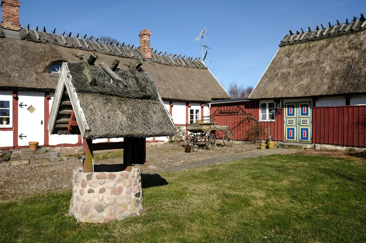 Vingården i Arild photo 2