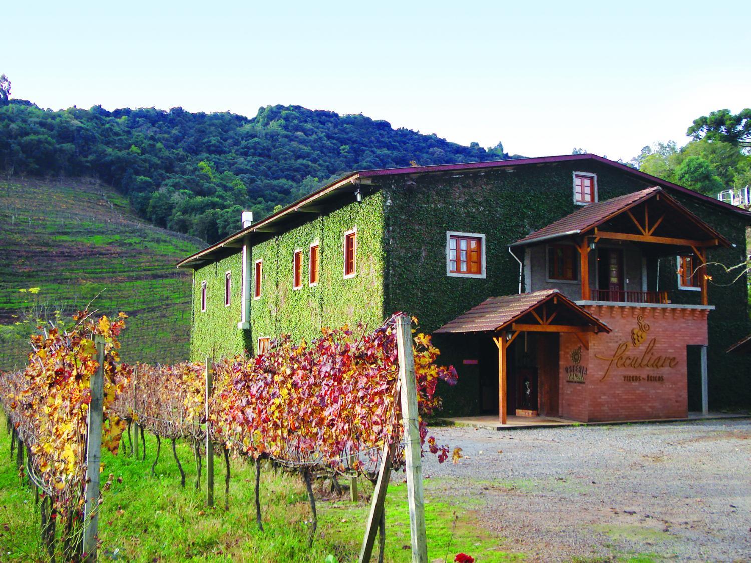 Hotel with winery - Vinicola e Pousada Peculiare
