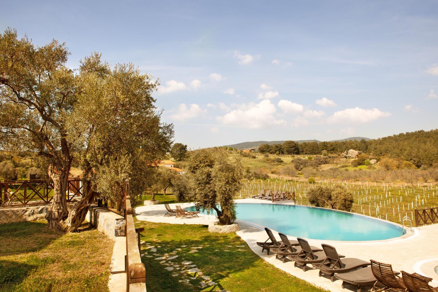 Hotel with winery - VINIFERA VINEYARDS HOTEL
