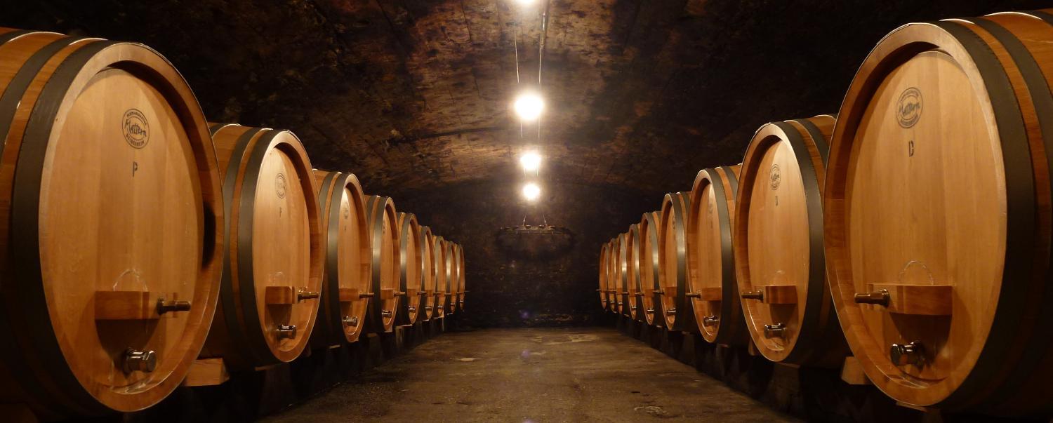 Winery Hotel - Wein- und Landhaus S A Prüm2