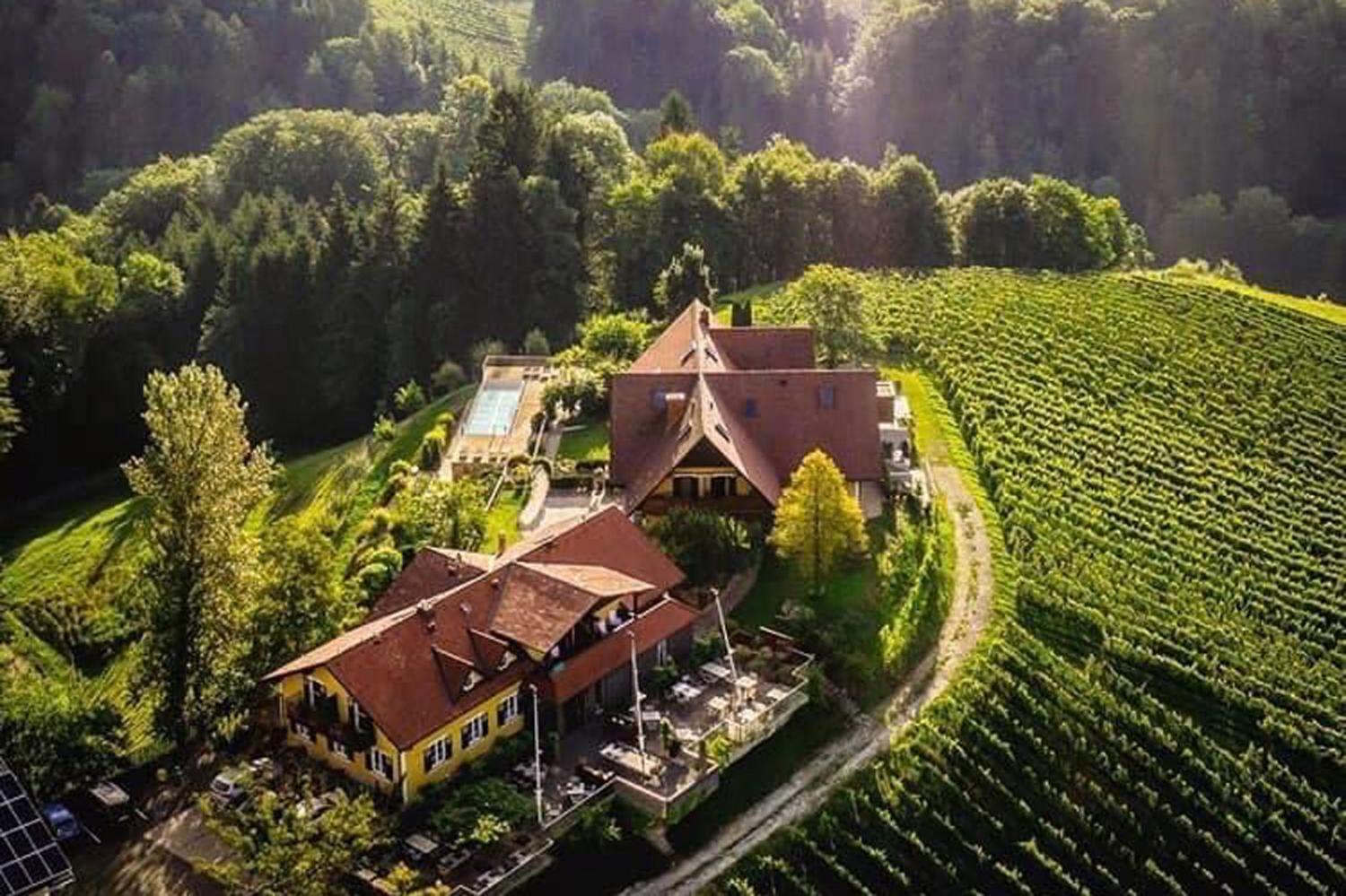 Weingut Essgut Schlafgut Sabathihof-Dillinger photo 2