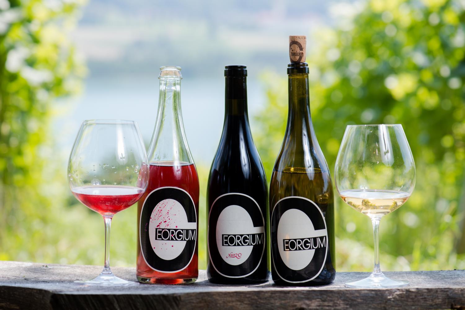 Winery Hotel - Weingut Georgium1