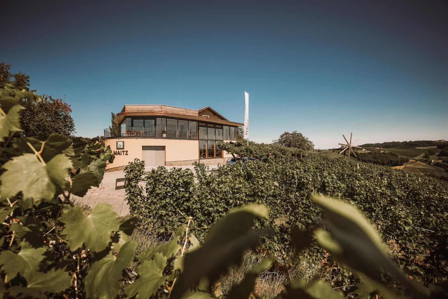 Hotel with winery - Weinhotel Maitz Wolfgang