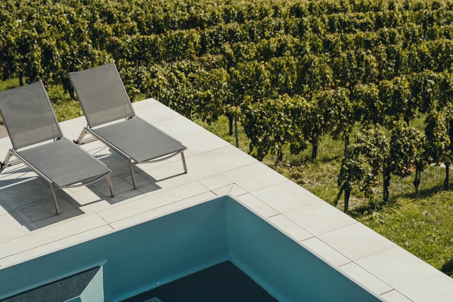 Weinquartier Pichler-Schober photo 4