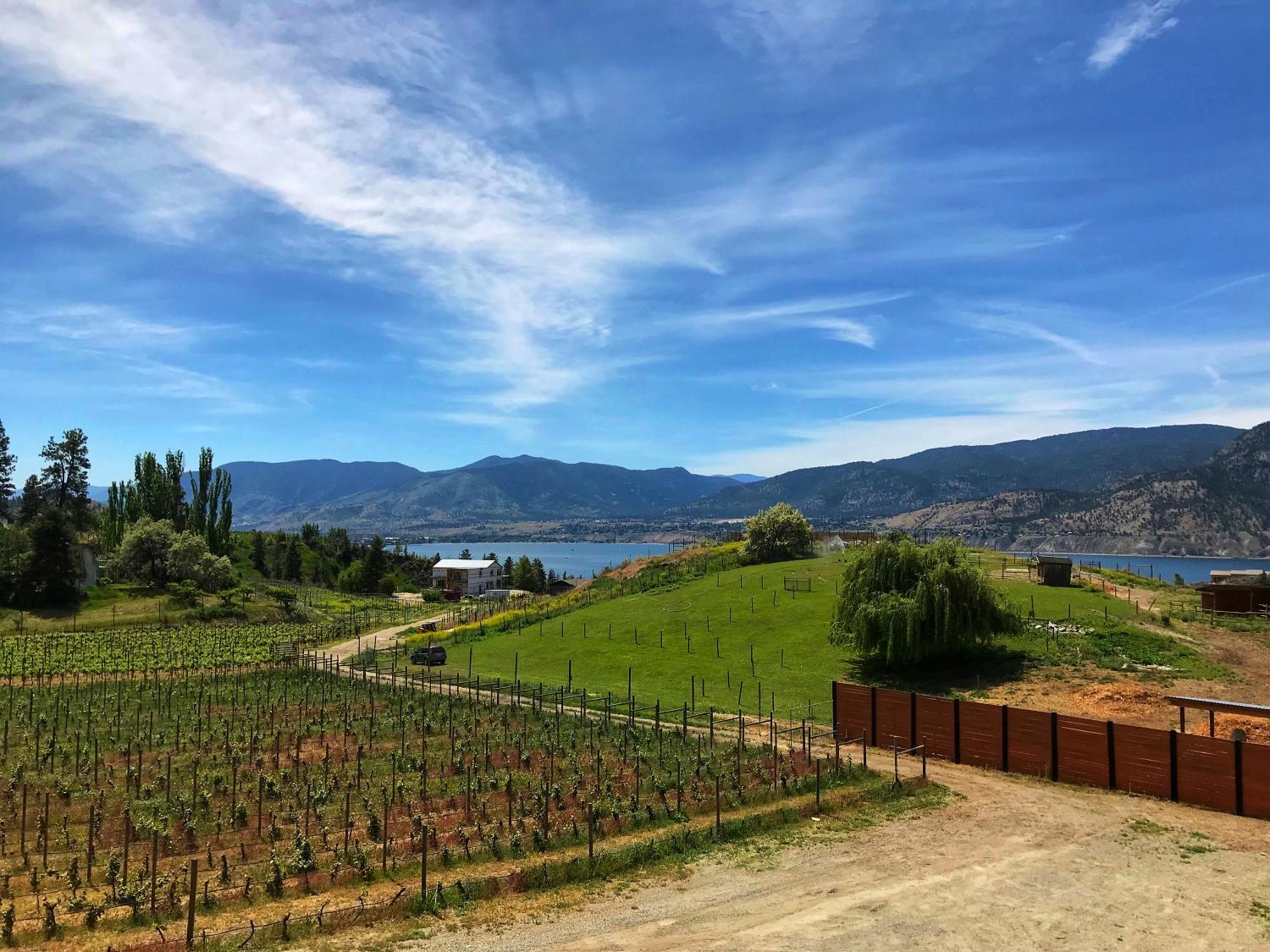 Hotel with winery - Wesbert Winery & Guest Suites