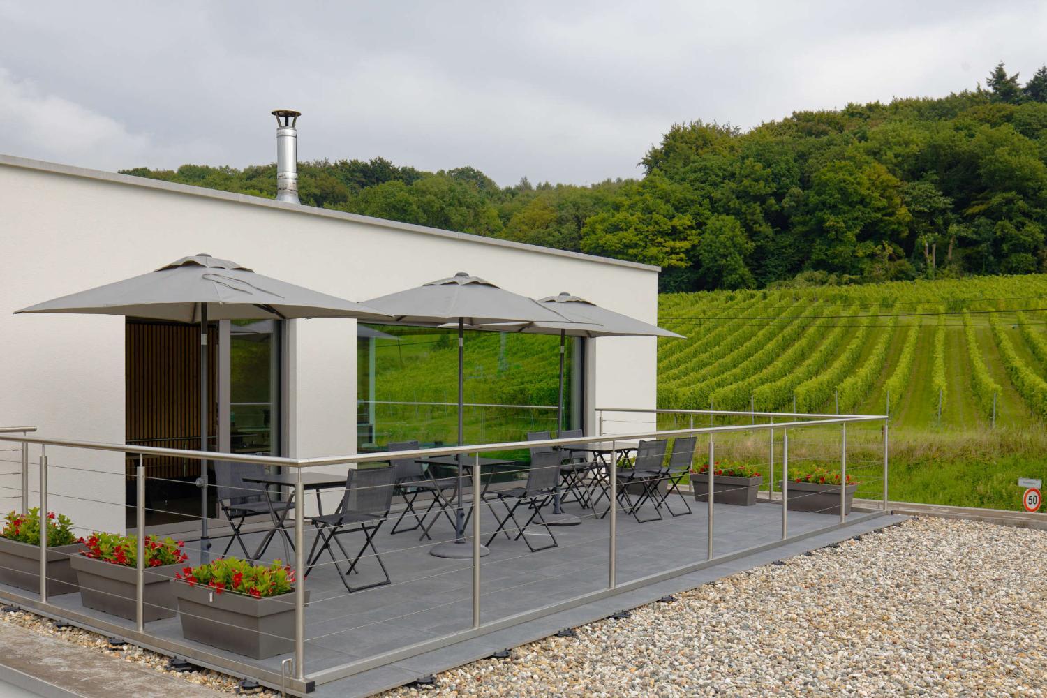 Wijndomein Zwaeneberg photo 3