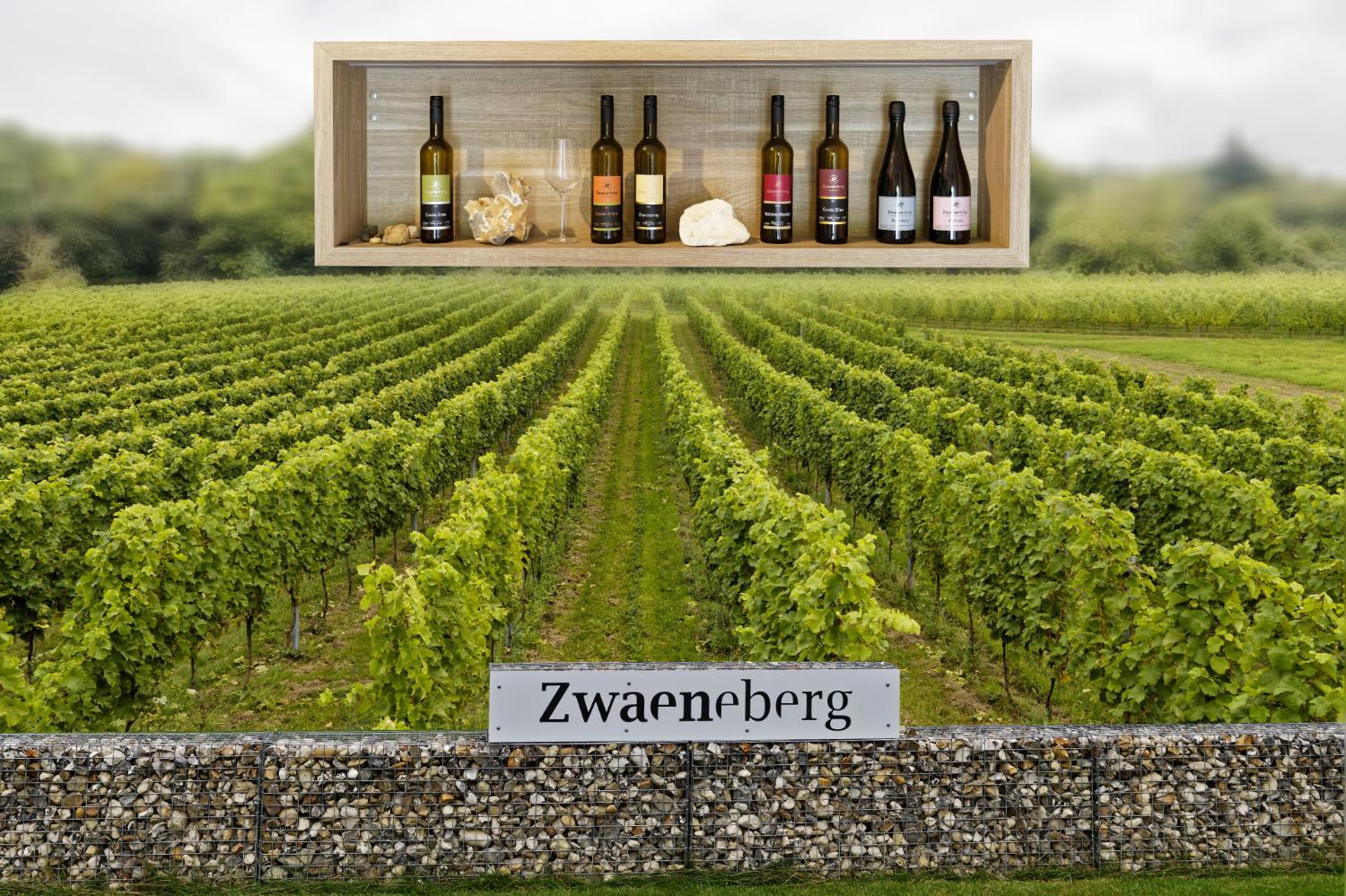 Wijndomein Zwaeneberg photo 4