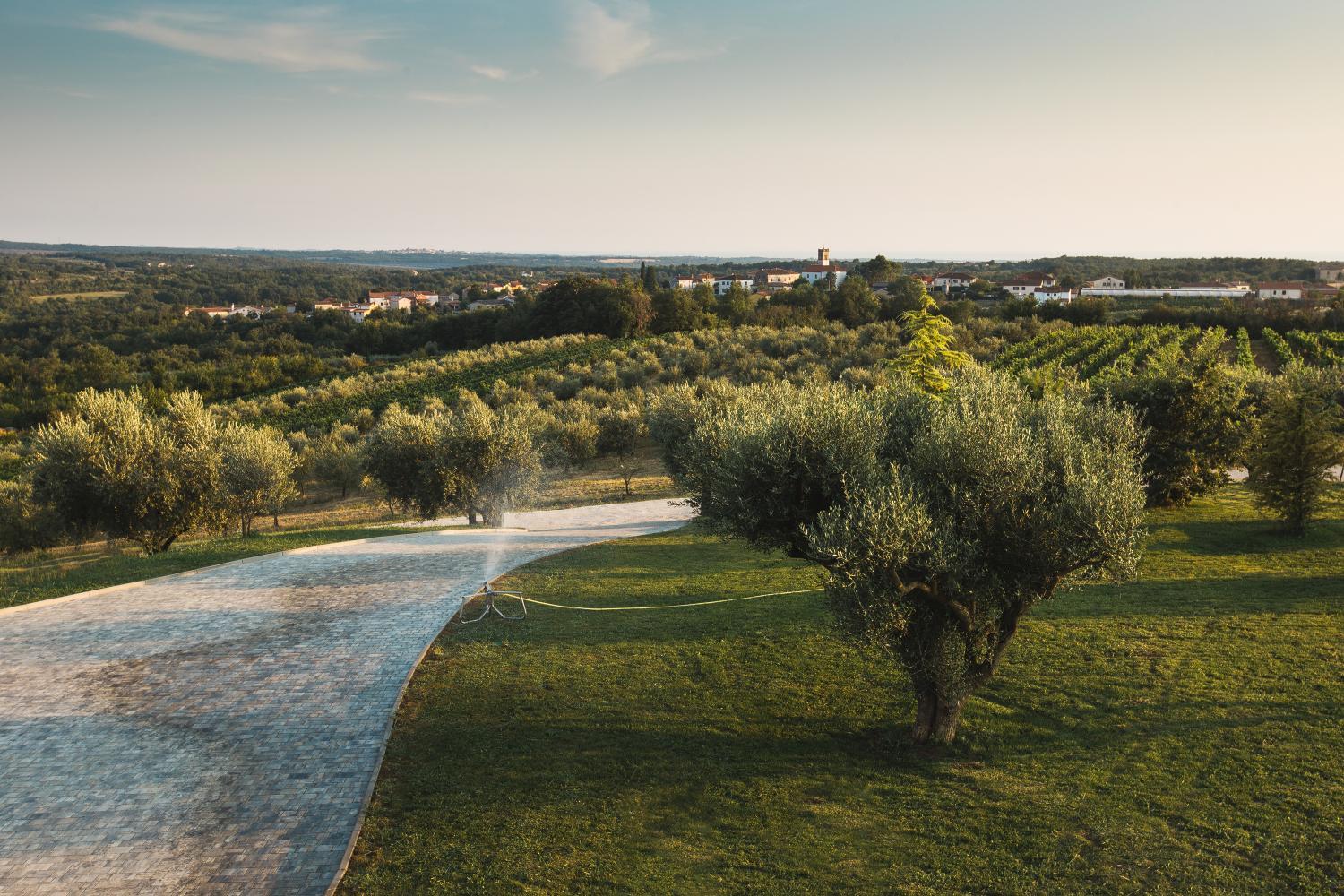 Winery Hotel - Wine Residence Cattunar