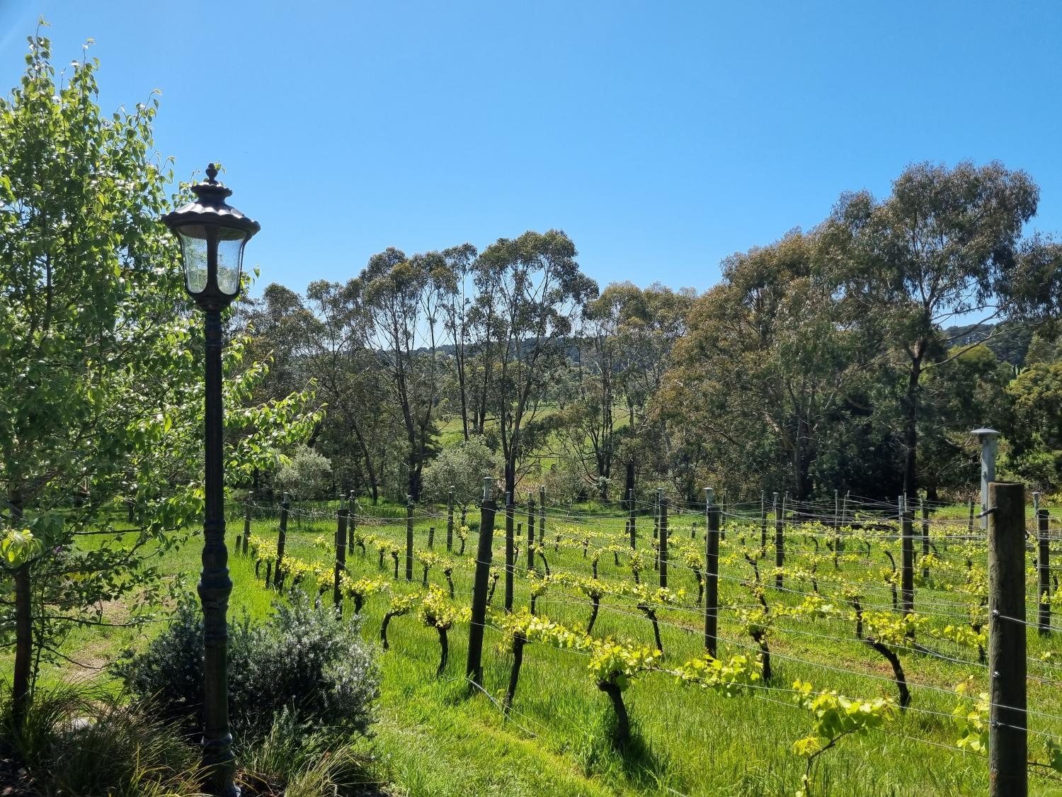 Winemakers Cottage at Treetops Red Hill photo 1