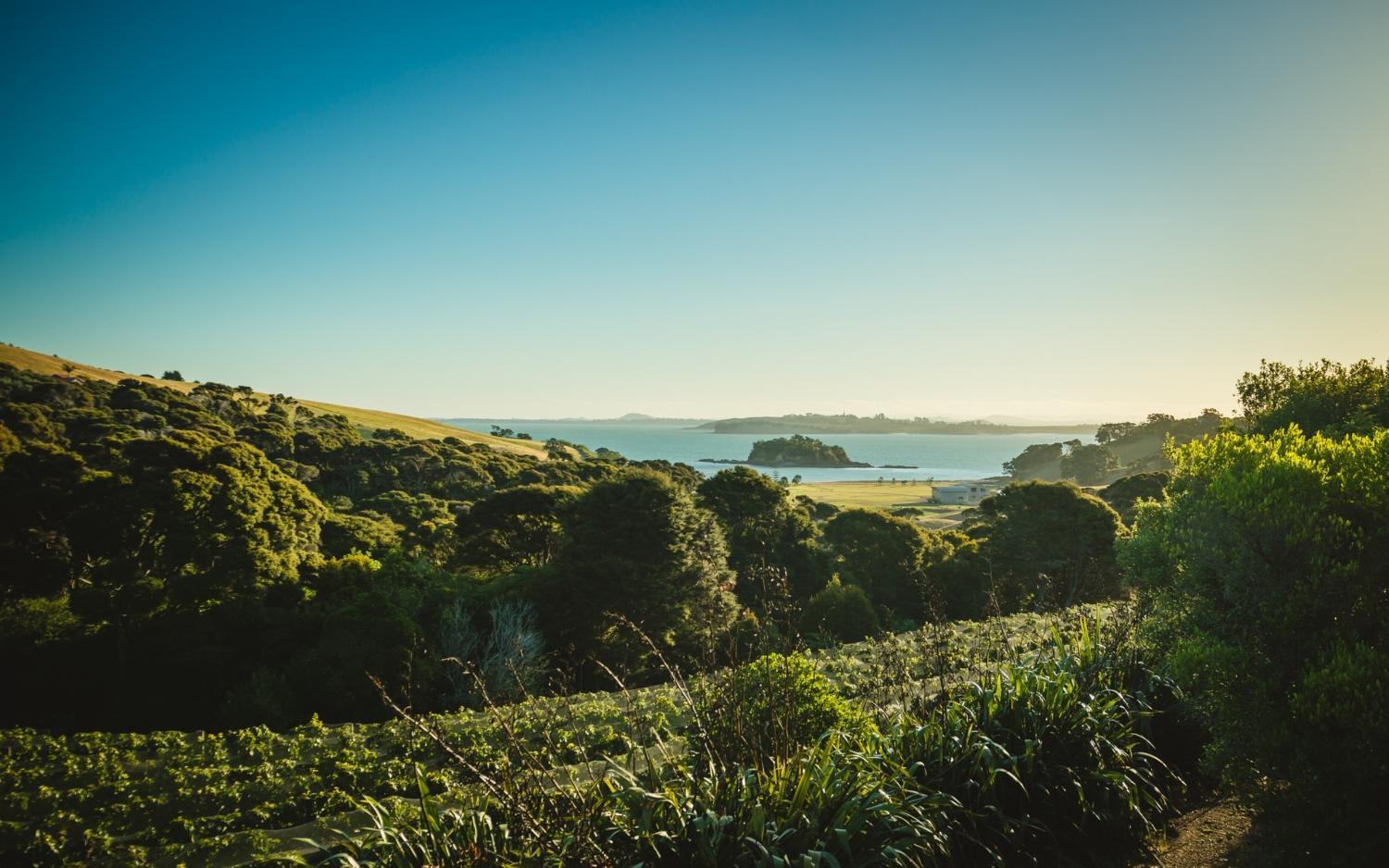 Winery Hotel - Winemakers Loft1