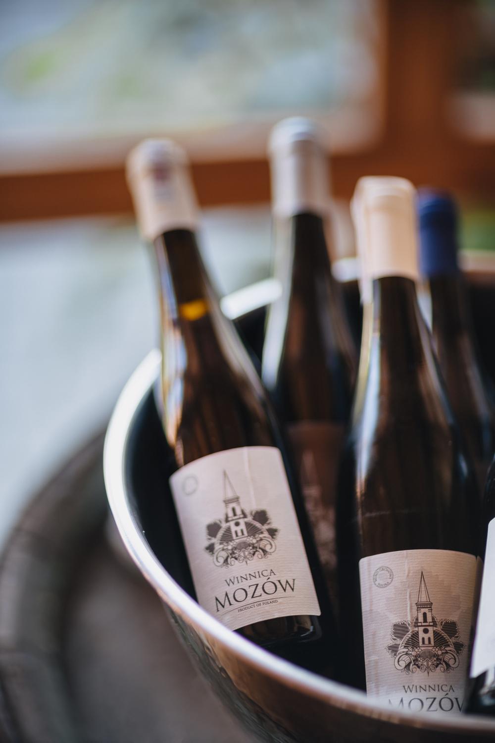 Winery Hotel - Winnica Mozów3