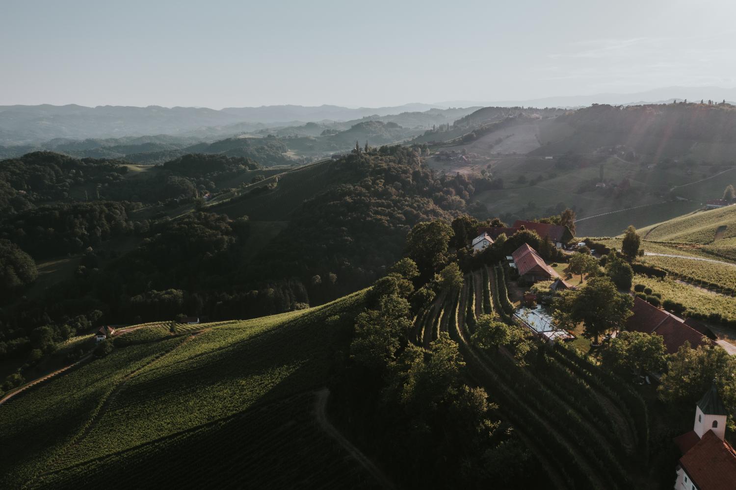 Winzarei, Weingut Tement photo 4