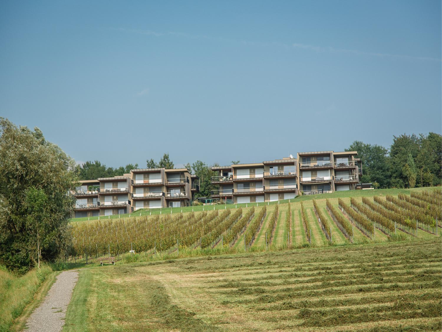 Hotel with winery - Wohnen im Wein