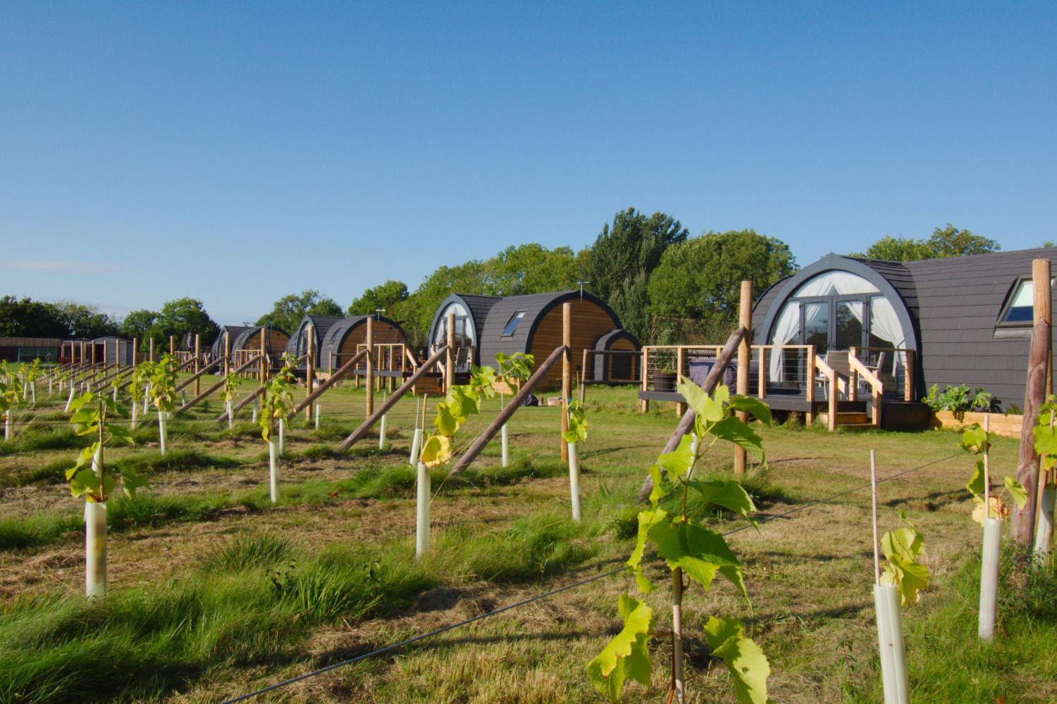 Hotel with winery - Wolds Wine Estate