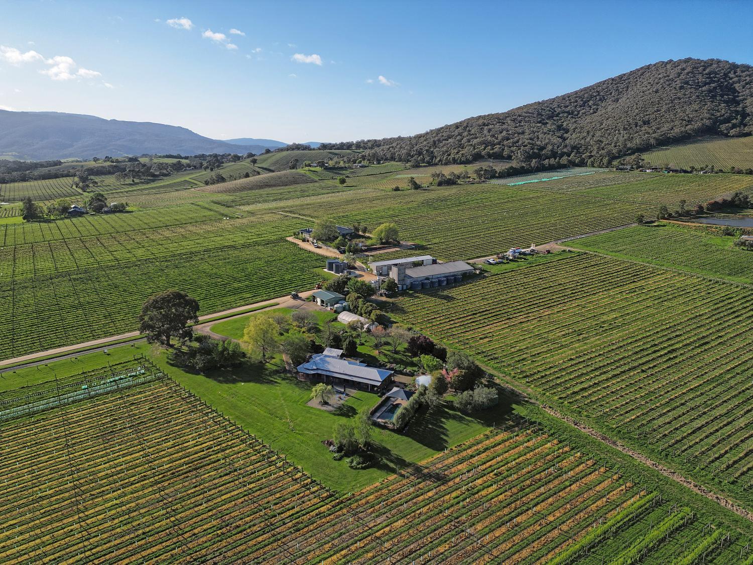 Yarra Yering Homestead photo 3