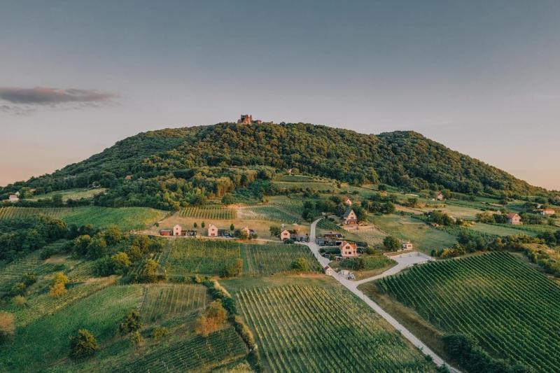 Hotel for Adults only - 5 House Winery - Perfect Chill